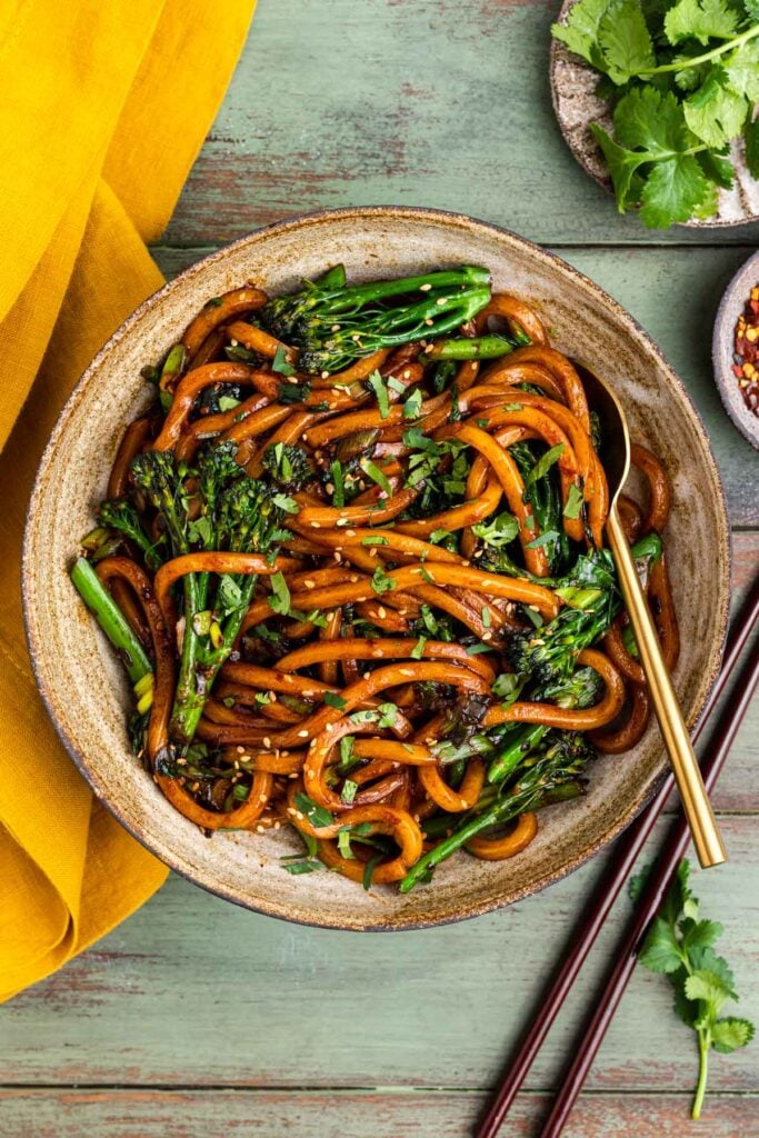 StirFried Garlic Chili Udon Noodles (15Min) • Vegan Everytime